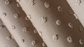 Nopeli Drapery Fabric [Per Yard]